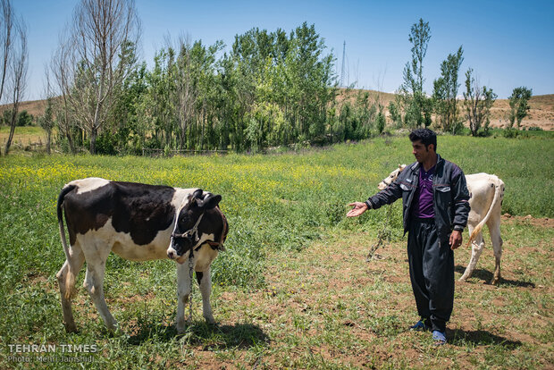 Imam Khomeini Relief Foundation provides financial stability in Charmahl and Bakhtiari province