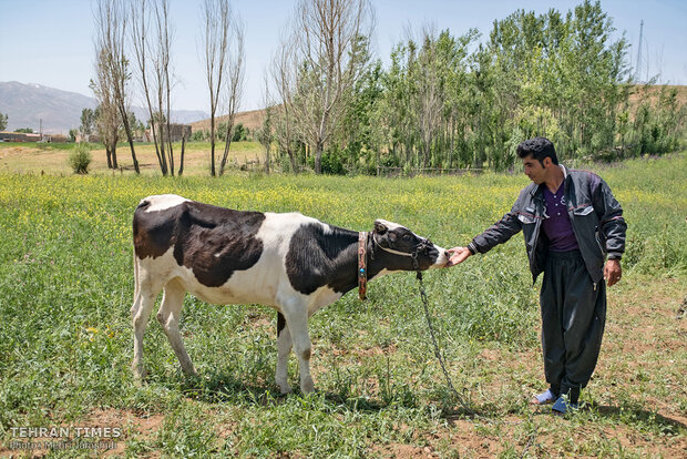 Imam Khomeini Relief Foundation provides financial stability in Charmahl and Bakhtiari province