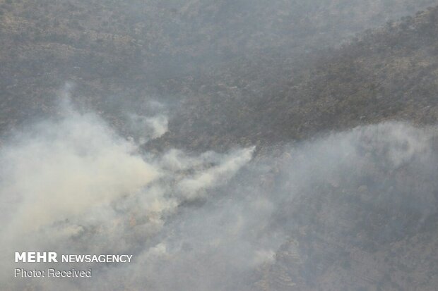 Army copters rescue people trapped in oak forest fires in Fars province