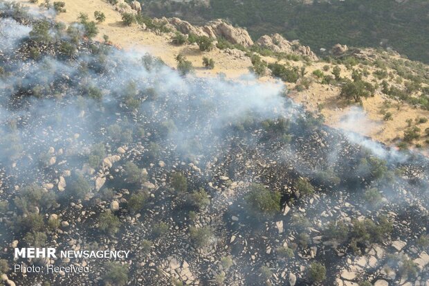 آتش سوزی ارتفاعات جنگلی کازرون و کهمره سرخی شیراز مهارشد