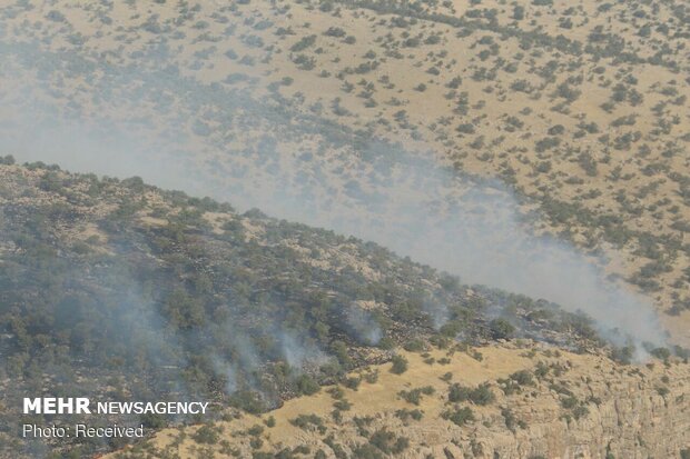 Army copters rescue people trapped in oak forest fires in Fars province