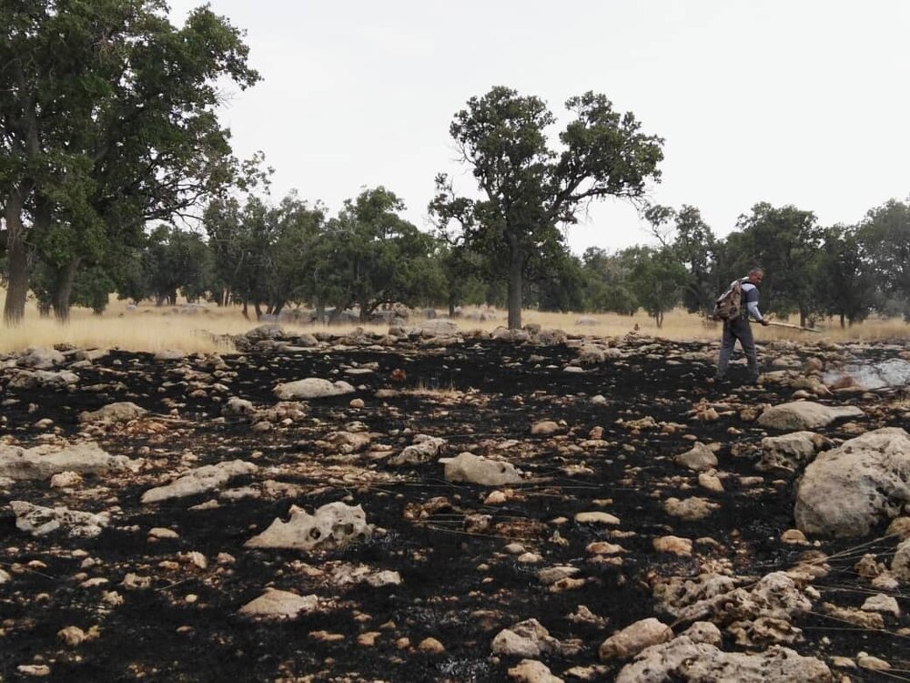 آتش سوزی جنگل های «کوه پهن» گچساران مهار شد/ خسارت به ۱٠ هکتار