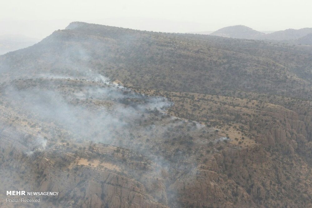 «آتش‌بازی» در جنگل‌های ایران/ «درختان» چوبِ بی‌امکاناتی را می‌خورند