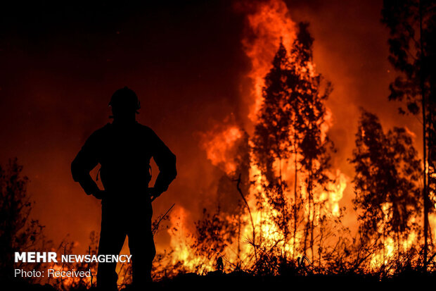 شعله‌های حریق در منطقه حفاظت شده چهل پا مهار شد