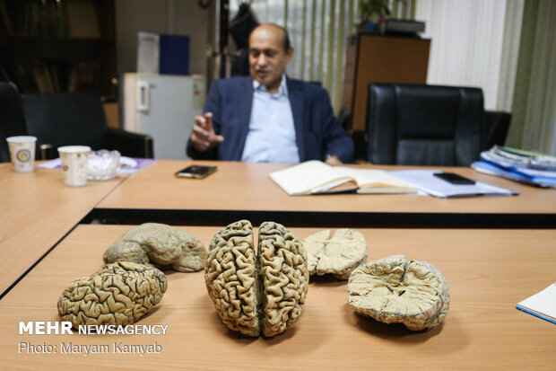 گفتگو با رئیس بانک ذخایر مغزی ایران