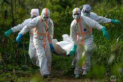 Ebola kills 13 in Guinea, DRC: Africa CDC