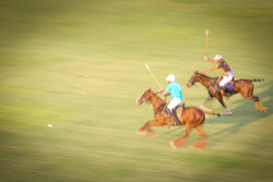 Tehran’s provincial polo competition