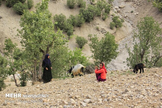 العطلة الصيفية لدى اطفال القرى بإيران