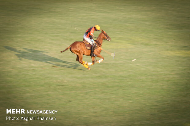 Tehran’s provincial polo competition