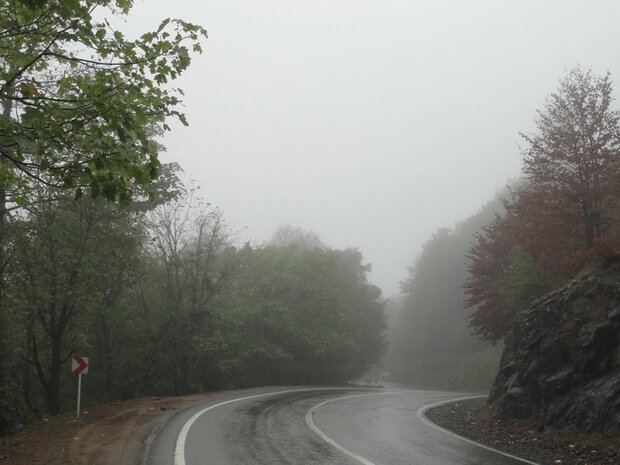 جاده کناره مازندران مه آلود است