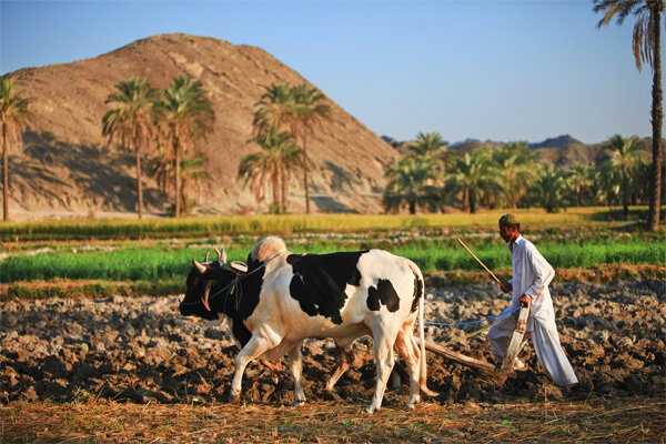 گردشگری راه نجات سیستان و بلوچستان است/صنایع دستی را برند کنید