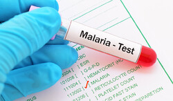 Malaria