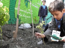 green schools