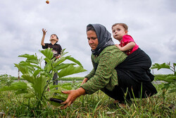 راه اندازی ۴۵۰ صندوق اعتبارات خرد زنان روستایی برای اشتغال زایی