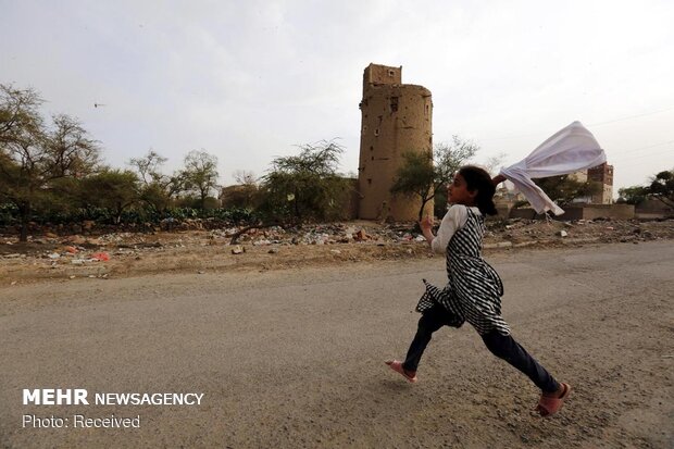 Yemen'in başkenti Sana'yı çekirgeler bastı!