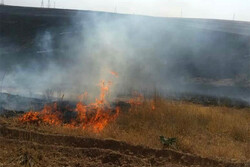 ۲۱ هکتار از عرصه های منابع طبیعی یزد درگیر آتش‌سوزی شد