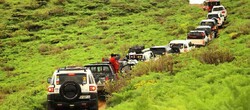 4WD car rally called off in support of UNESCO-tagged forest