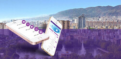 e-government