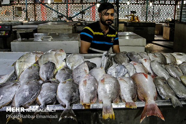 Fish Market in Bandar Abbas