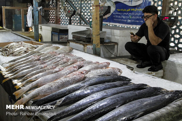 Fish Market in Bandar Abbas