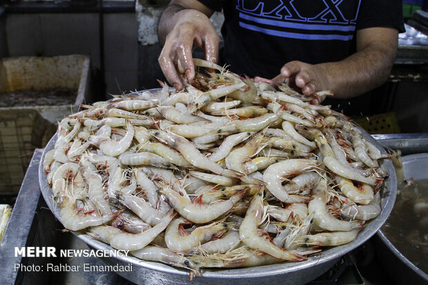 Fish Market in Bandar Abbas