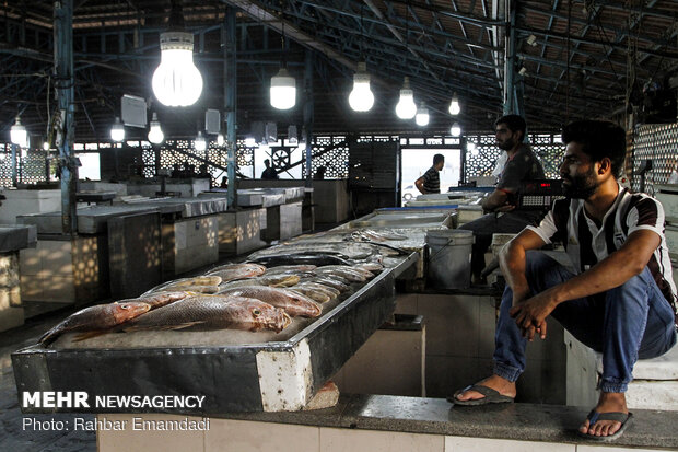 Fish Market in Bandar Abbas