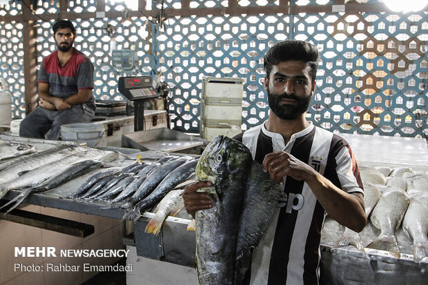 Fish Market in Bandar Abbas