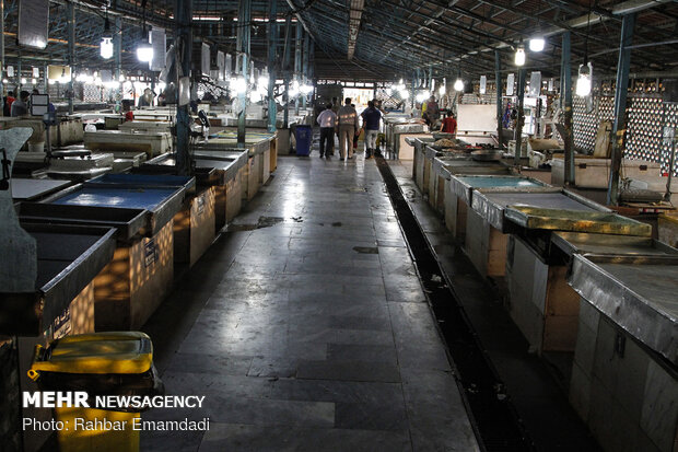 Fish Market in Bandar Abbas