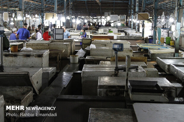 Fish Market in Bandar Abbas