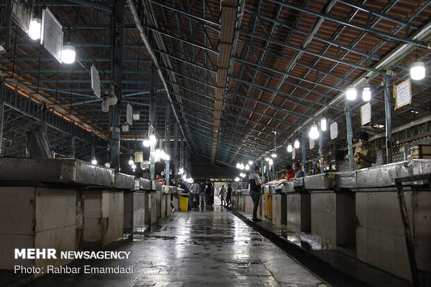 Fish Market in Bandar Abbas