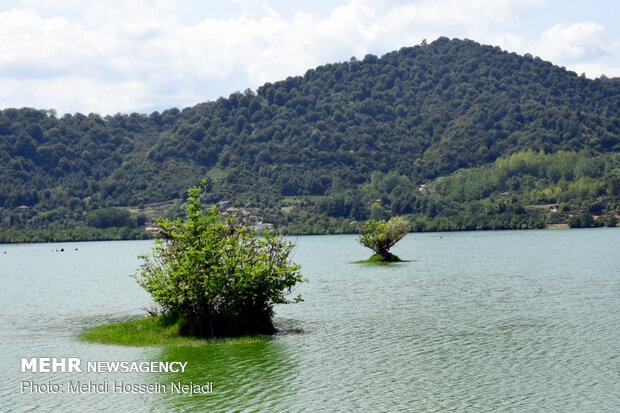 Astara’s Estill Lagoon