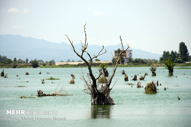 Astara’s Estill Lagoon