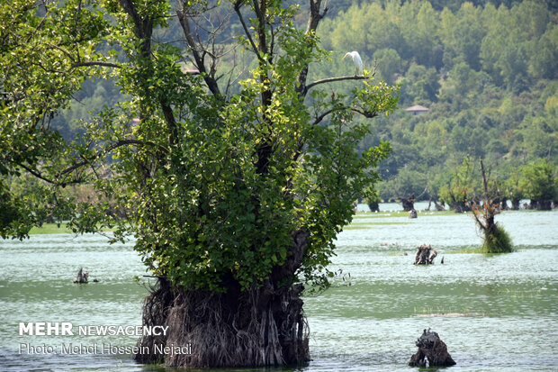 Astara’s Estill Lagoon