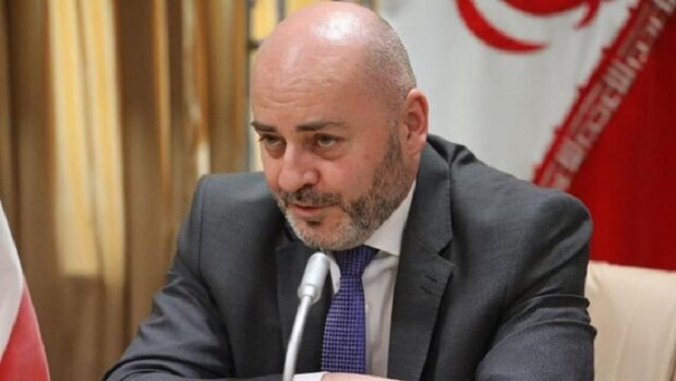Czech envoy to Iran resigns due to allegations