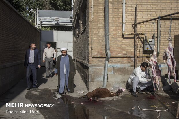 Distribution of meat among the needy during Eid al-Adha in Tabriz