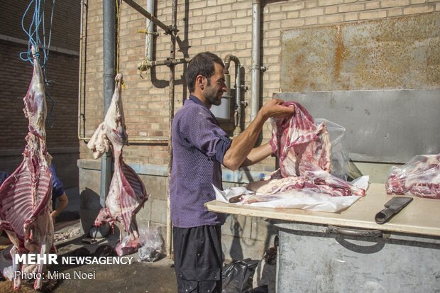 Distribution of meat among the needy during Eid al-Adha in Tabriz
