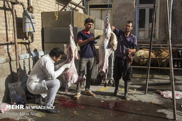 Distribution of meat among the needy during Eid al-Adha in Tabriz