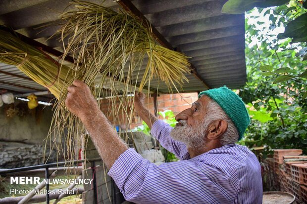 Mat weaving in Iran’s Golestan