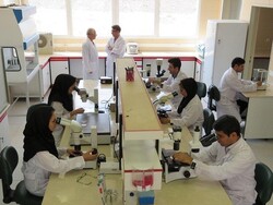 پذیرش دانشجوی دکتری تخصصی پژوهشی در علوم پزشکی مشهد