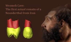A Neanderthal premolar tooth from Wezmeh Cave