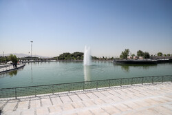 هم‌نشینی دوستداران پرندگان مهاجر در دریاچه هنر