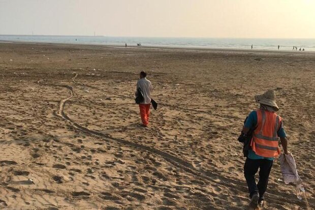 ساحل گناوه از لاستیک ها و ضایعات پاک سازی شد