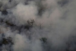 آتش سوزی در جنگل‌های «ارس» مهار شد