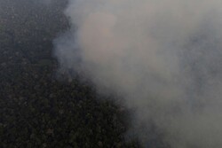 امسال ۱۵ فقره آتش سوزی در جنگل های مازندران رخ داد