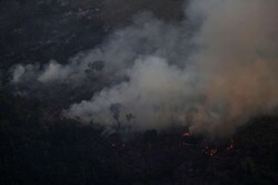 آتش سوزی به ۳ هکتار از عرصه های جنگلی مرزن آباد خسارت زد