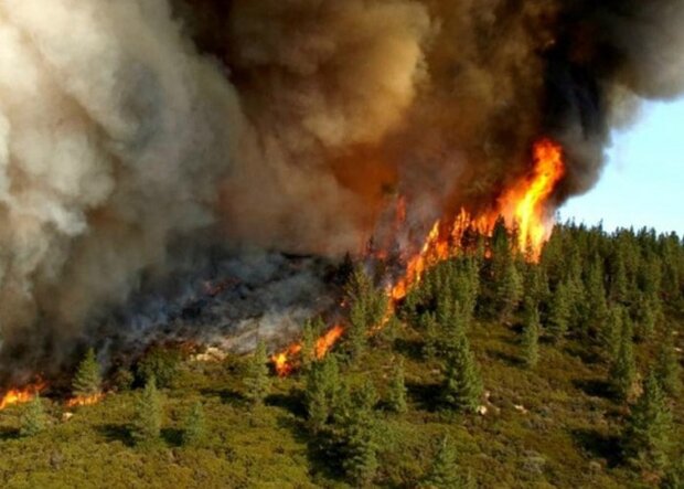 آتش‌سوزی جنگل‌های ارسباران
