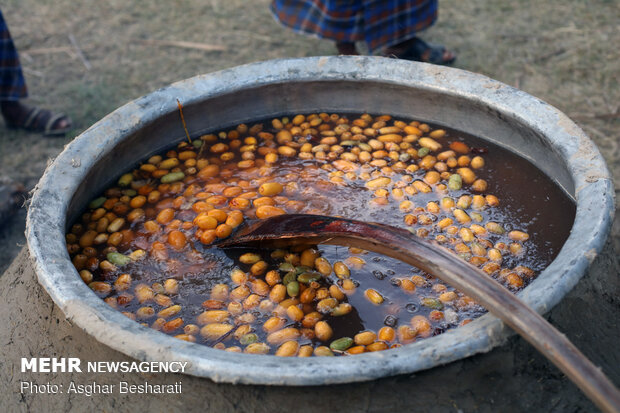 ‘Mogh and Moshta’ festival in Hormozgan province