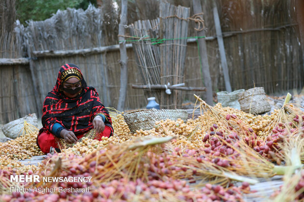 ‘Mogh and Moshta’ festival in Hormozgan province