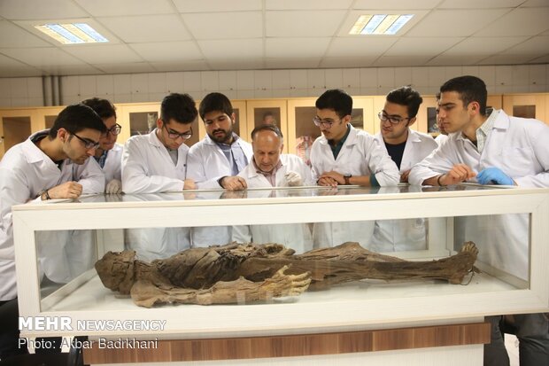 Aug. 23 marks National Doctors’ Day in Iran