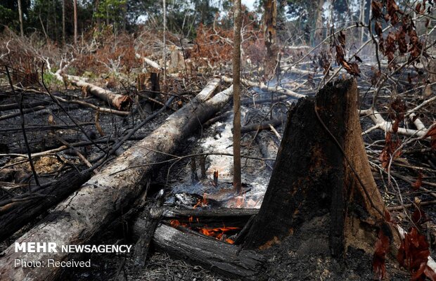 وقوع آتش‌سوزی در منطقه سرخ دره جنگل ابر/ ۳ اکیپ امدادی اعزام شدند